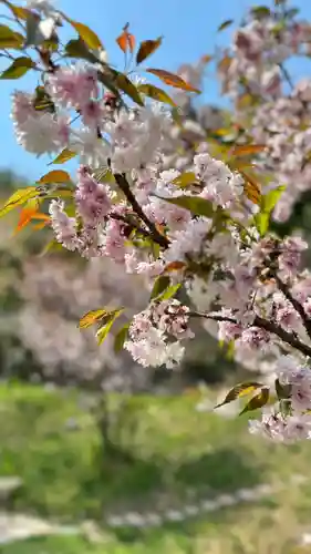 素戔嗚神社(岡山県)