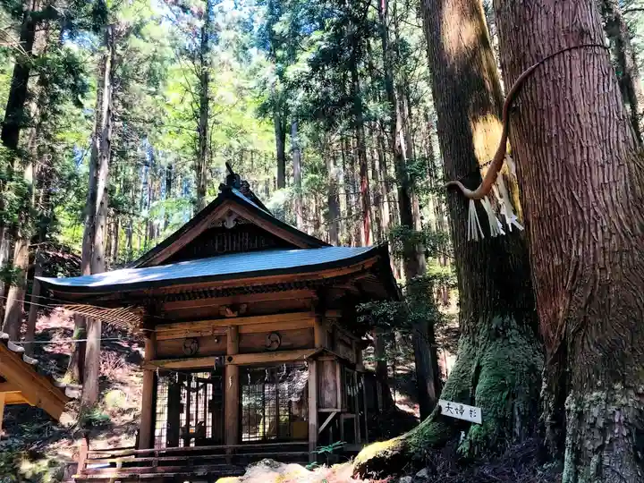 穴森神社(大分県)