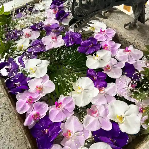 札幌諏訪神社の手水