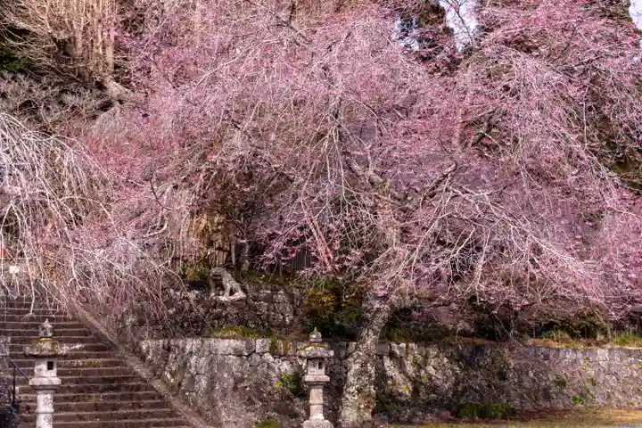 村山浅間神社(静岡県)