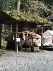 小國神社の自然