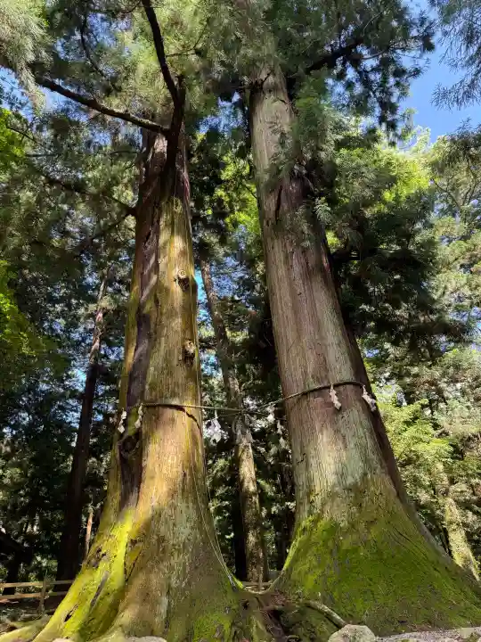 河口浅間神社(山梨県)