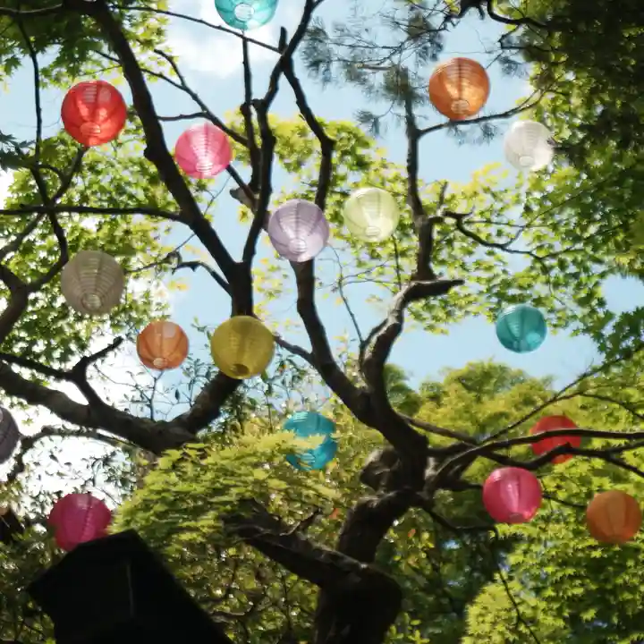 柳谷観音 楊谷寺(京都府)
