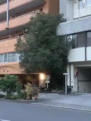 金明竜神社(愛知県)