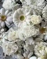 札幌諏訪神社の手水舎