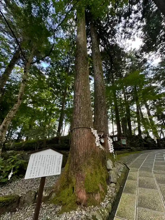 富士山東口本宮 冨士浅間神社(静岡県)