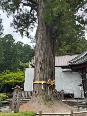 北口本宮冨士浅間神社(山梨県)