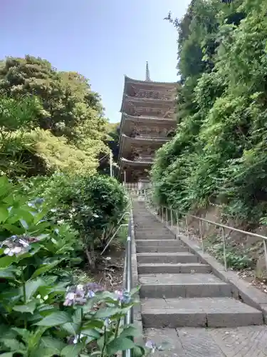 龍口寺(神奈川県)