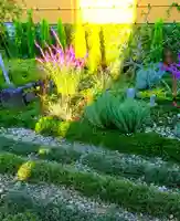 寿量山 速成寺の自然