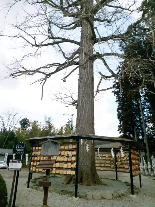 秋保神社の{uncategorized: "未分類", other: "その他", undefined: "問題あり", building: "その他建物", grave: "お墓", sacred_gate: "鳥居", guardian: "狛犬", statue: "像", buddha: "仏像", history: "歴史", nature: "自然", garden: "庭園", animal: "動物", pagoda: "塔", temizu: "手水舎", mountain_gate: "山門・神門", sanctuary: "本殿・本堂", subordinate: "末社・摂社", art: "芸術", scenery: "景色", jizo: "地蔵", ema: "絵馬", goshuin: "御朱印", omikuji: "おみくじ", items: "授与品その他", amulet: "お守り", goshuincho: "御朱印帳", eats: "食事", festival: "お祭り", votive_dance: "神楽", shichigosan: "七五三参", wedding: "結婚式", experience: "体験その他", initially: "初詣", around: "周辺", anti_infection: "感染症対策"}