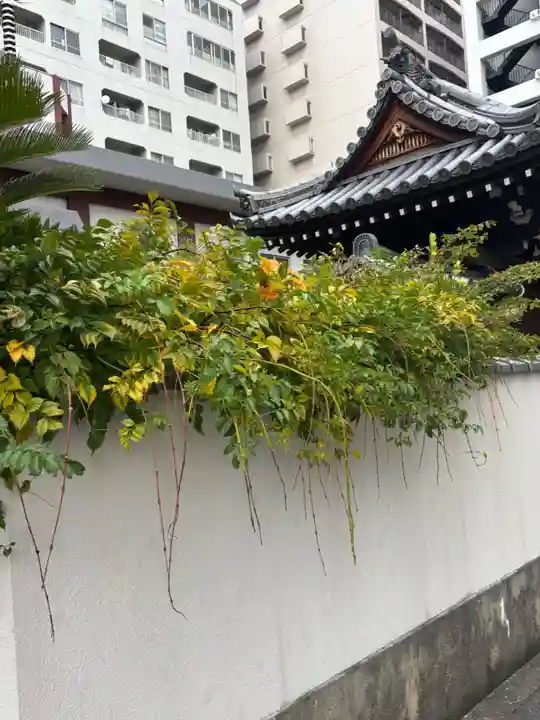 専念寺(大阪府)