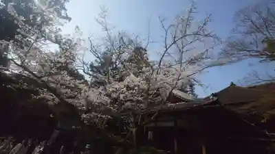 石山寺(滋賀県)
