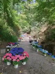 岡寺（龍蓋寺）(奈良県)