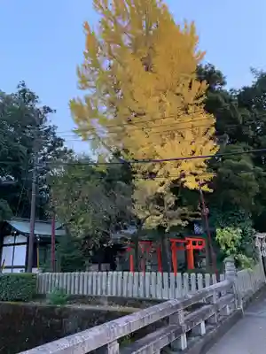 孫太郎稲荷神社(薬師寺境内社)のその他建物