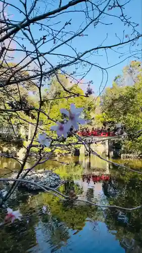 武蔵一宮氷川神社(埼玉県)