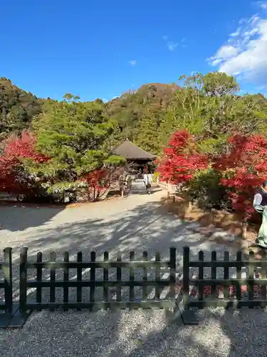 白水阿弥陀堂の本殿