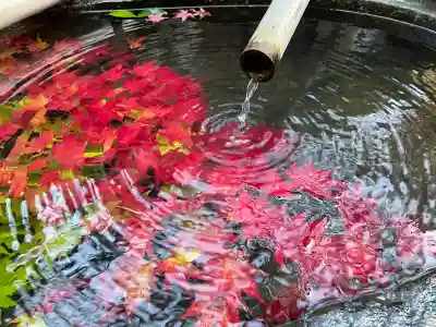 真正極楽寺(真如堂)(京都府)