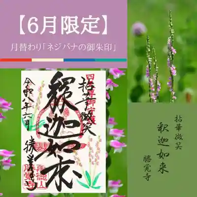 勝覚寺の御朱印