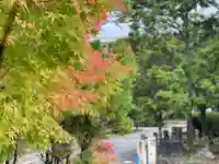 伊勢の国 四天王寺の自然