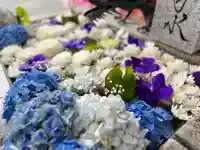 札幌諏訪神社の手水舎