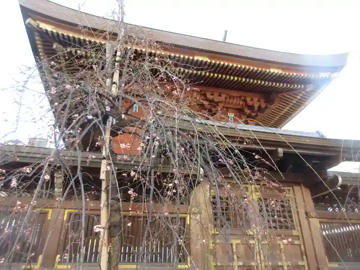 湯島天満宮(東京都)