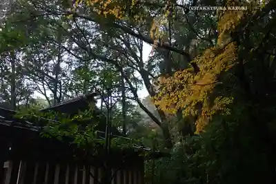 猿田彦神社(三重県)