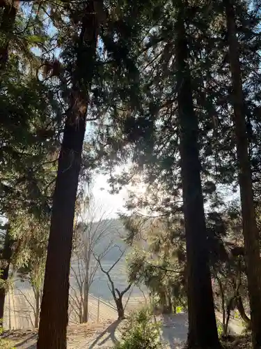大宮温泉神社(栃木県)