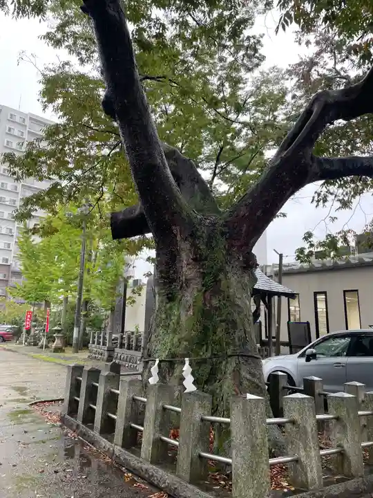 阿邪訶根神社(福島県)