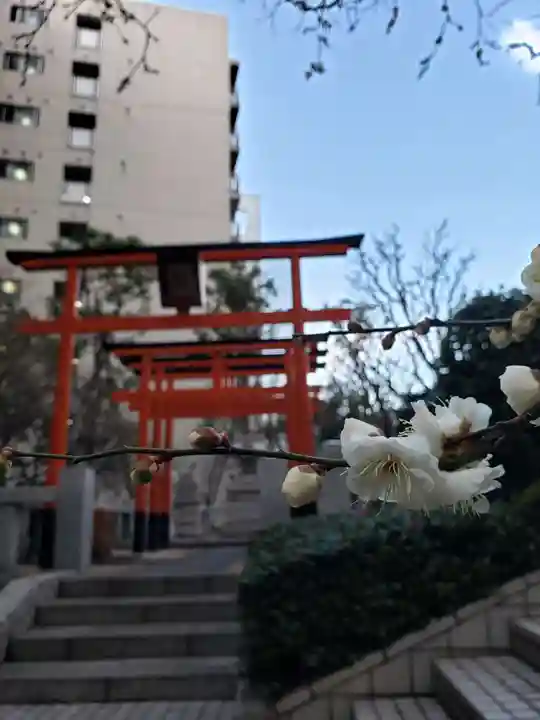 銀世界稲荷神社の鳥居