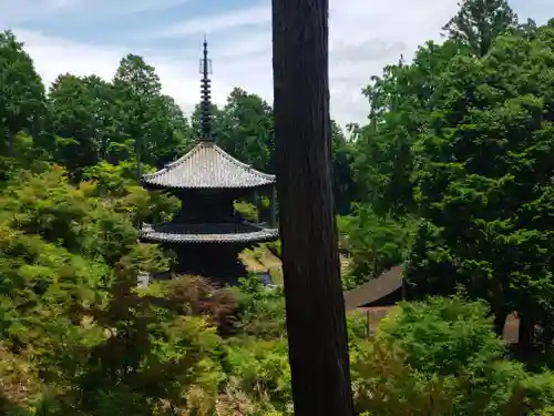 常樂寺の建物その他