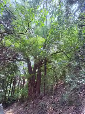 高津神社(香川県)