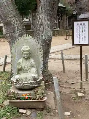 徳満寺(茨城県)