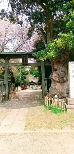 畑子安神社の鳥居