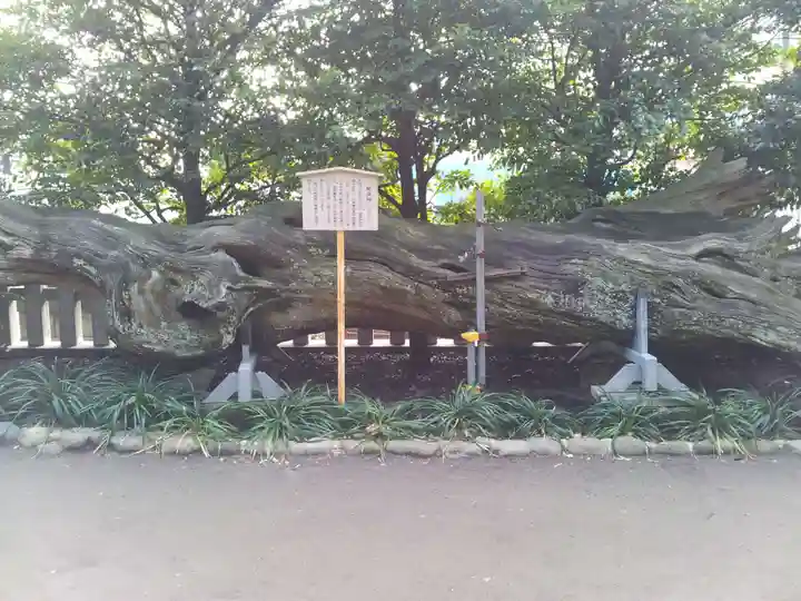 瀬戸神社の自然