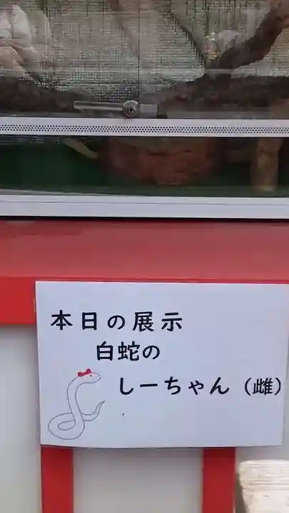 蛇窪神社(東京都)