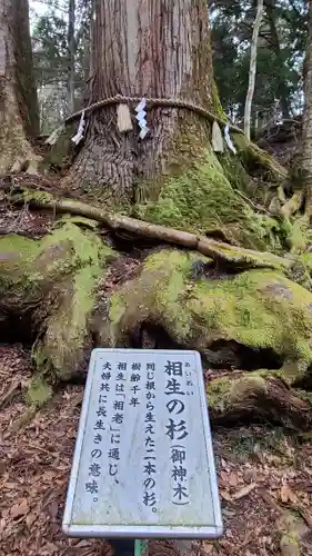 貴船神社の歴史