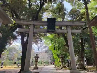 赤坂氷川神社の鳥居