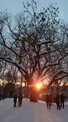 相馬神社(北海道)