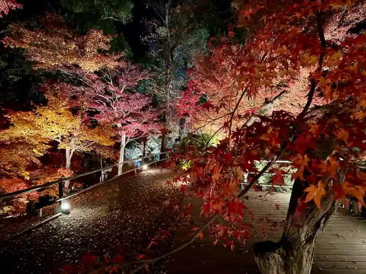 北野天満宮(京都府)
