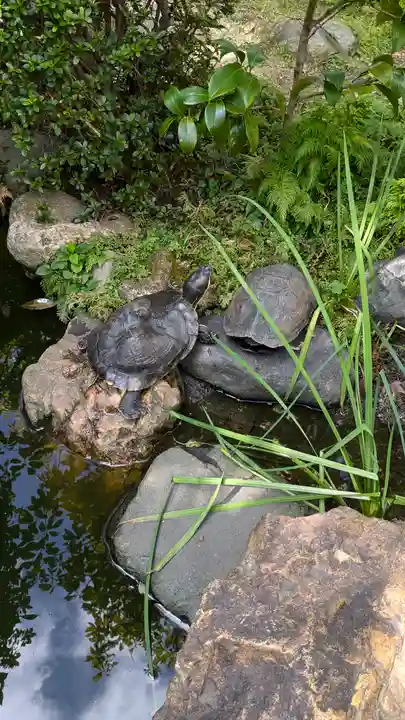 宝蔵寺(京都府)