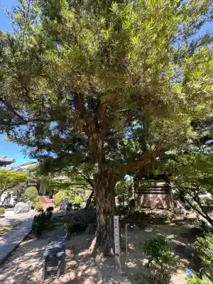大永寺(愛知県)