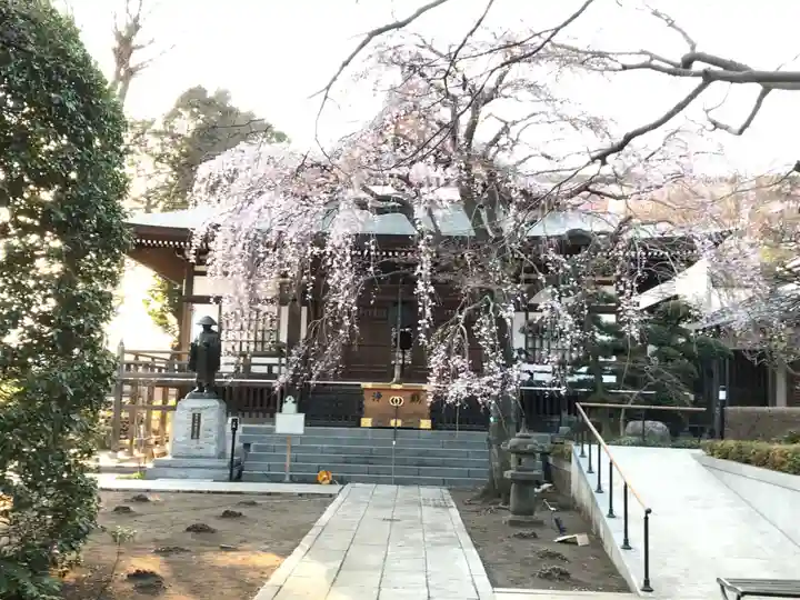 金蔵院の本殿・本堂