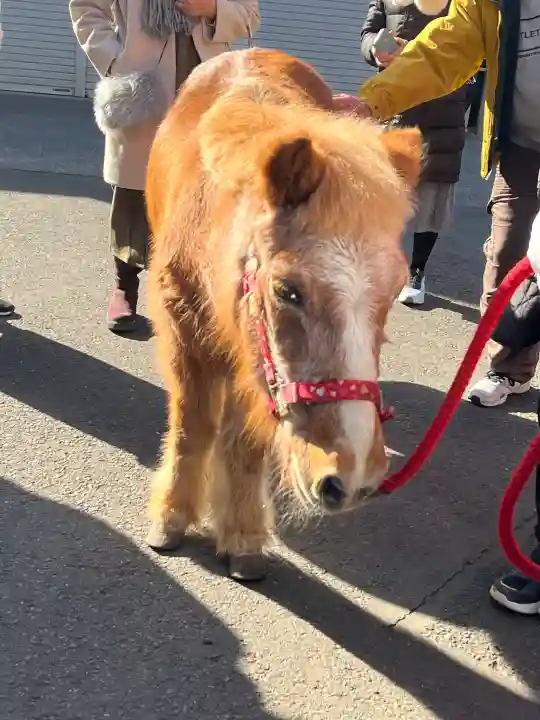 五方山熊野神社の{uncategorized: "未分類", other: "その他", undefined: "問題あり", building: "その他建物", grave: "お墓", sacred_gate: "鳥居", guardian: "狛犬", statue: "像", buddha: "仏像", history: "歴史", nature: "自然", garden: "庭園", animal: "動物", pagoda: "塔", temizu: "手水舎", mountain_gate: "山門・神門", sanctuary: "本殿・本堂", subordinate: "末社・摂社", art: "芸術", scenery: "景色", jizo: "地蔵", ema: "絵馬", goshuin: "御朱印", omikuji: "おみくじ", items: "授与品その他", amulet: "お守り", goshuincho: "御朱印帳", eats: "食事", festival: "お祭り", votive_dance: "神楽", shichigosan: "七五三参", wedding: "結婚式", experience: "体験その他", initially: "初詣", around: "周辺", anti_infection: "感染症対策"}