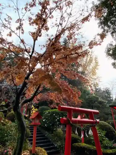 冠稲荷神社の鳥居