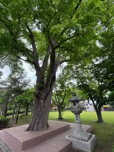 当別神社(北海道)
