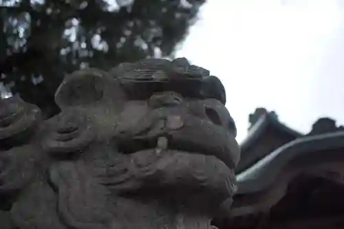 本宿天神社の狛犬