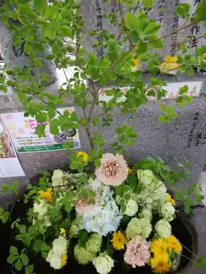 手稲神社(北海道)