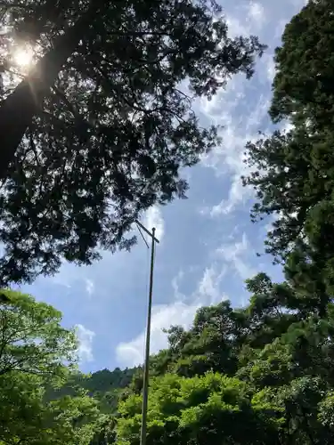 九頭龍神社の周辺