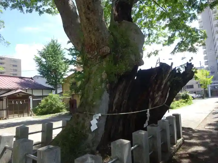 阿邪訶根神社の自然