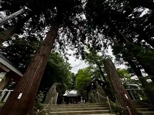 陸奥総社宮(宮城県)